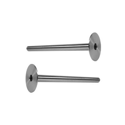 Tube de protection en tantale thermocouple